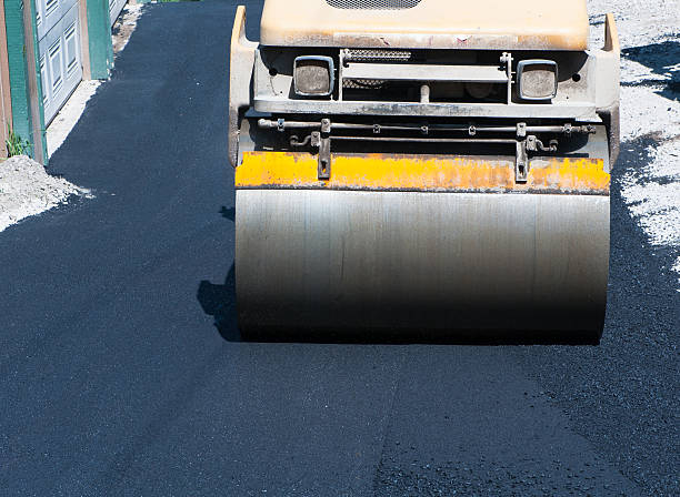 Best Driveway Repair and Patching  in Caseyvle, IL